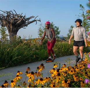 Two Men's Scenting in Park