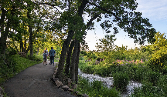 Elton Hills Park Renovation