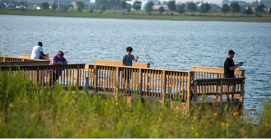 Parks Recreation Board